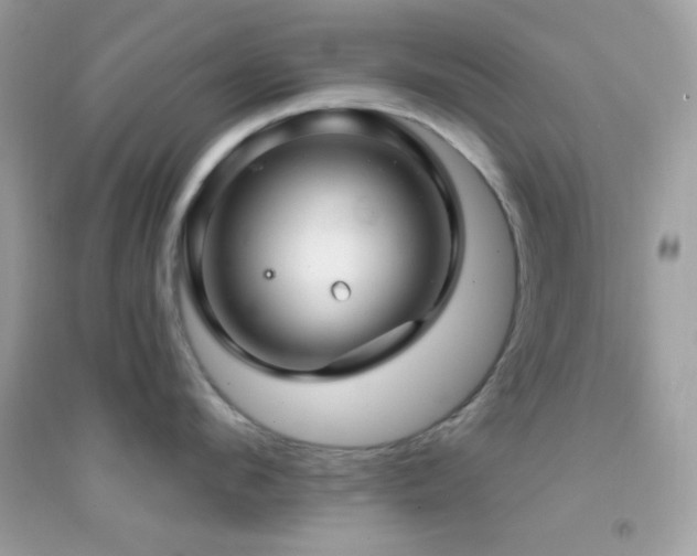 X0000095110912200712071214