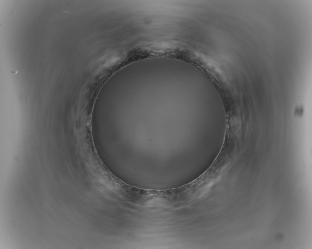 X0000095110913200712071213