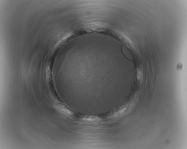 X0000095110915200712071213