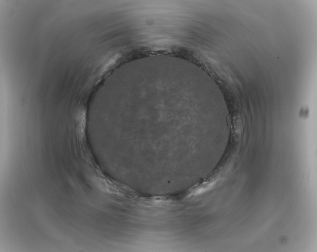 X0000095110916200712071213