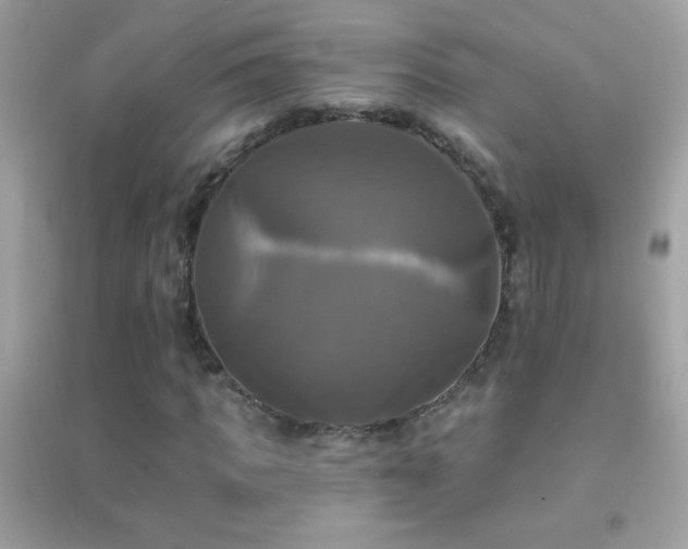 X0000095110917200712071213