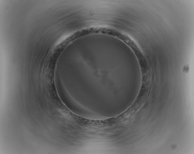 X0000095110919200712071213