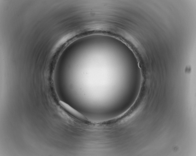 X0000095110922200712071213