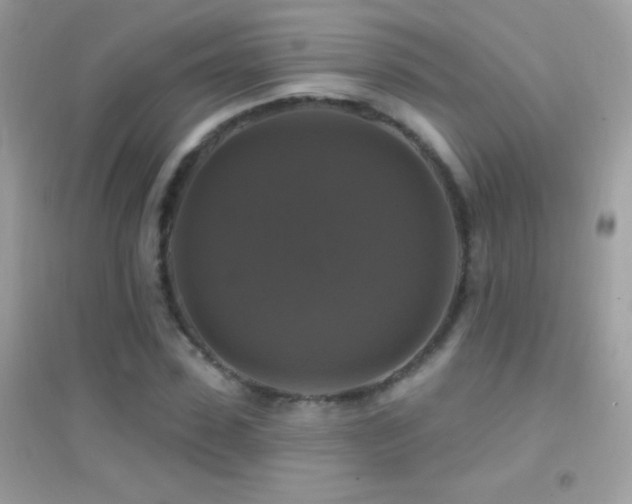 X0000095110923200712071213