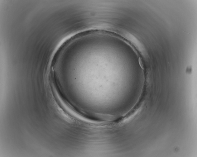 X0000095110924200712071213