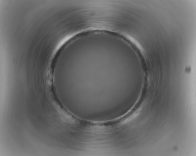 X0000095110925200712071213