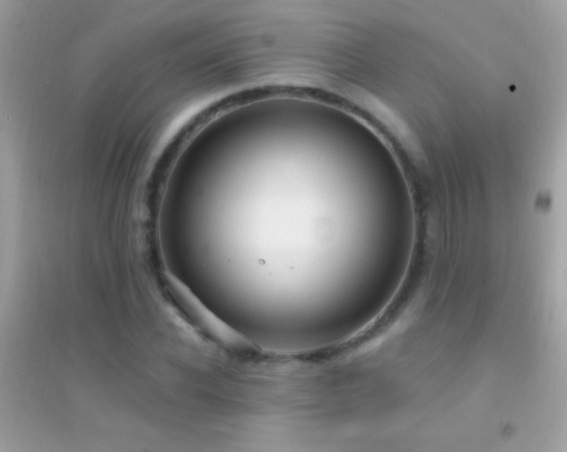 X0000095110926200712071213