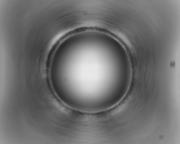 X0000095110927200712071213