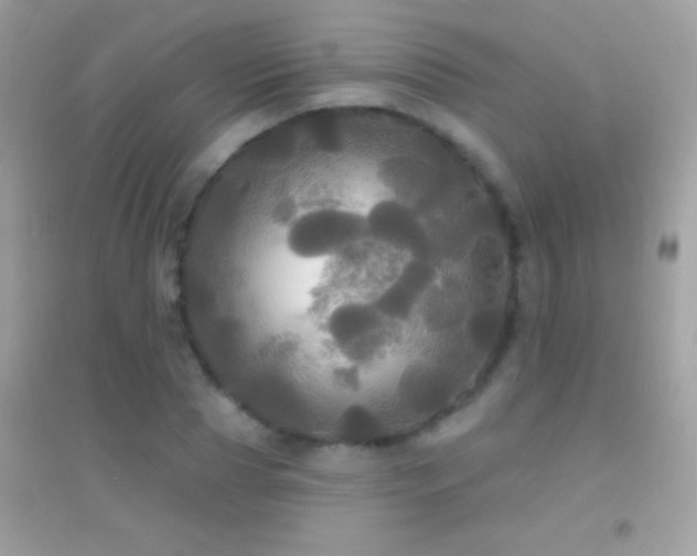 X0000095110929200712071213