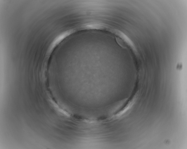 X0000095110930200712071214