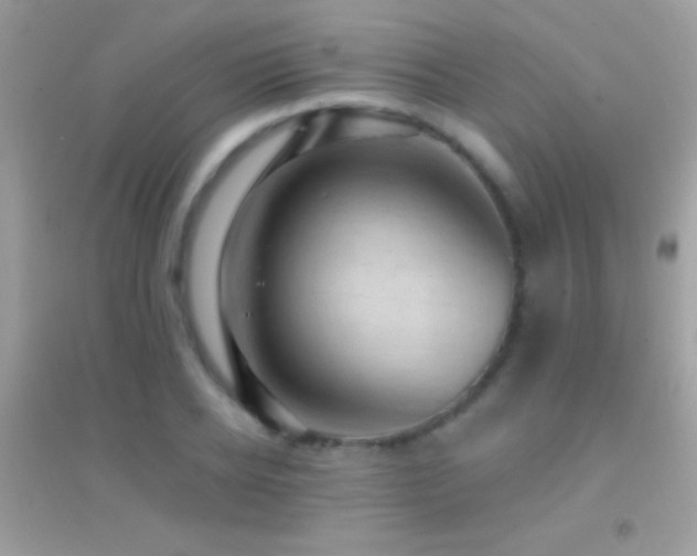 X0000095110934200712071214