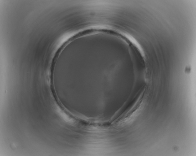 X0000095110935200712071214