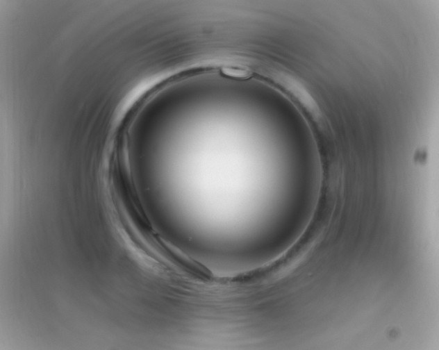 X0000095110936200712071214