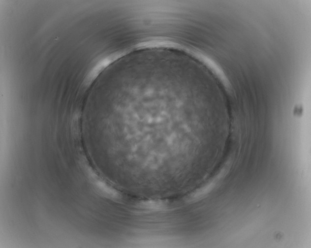 X0000095110937200712071214