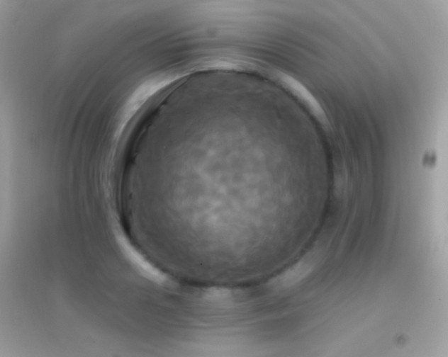 X0000095110938200712071214