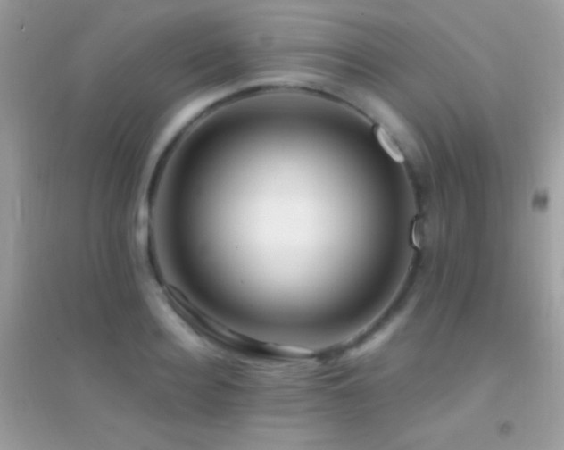 X0000095110940200712071214