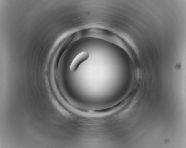 X0000095110942200712071214