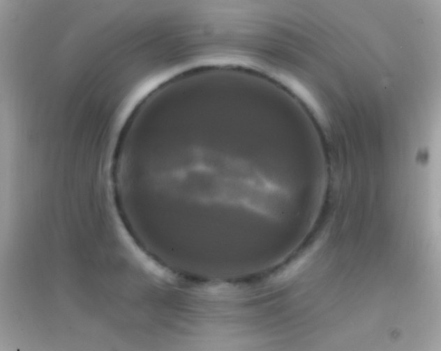 X0000095110943200712071214