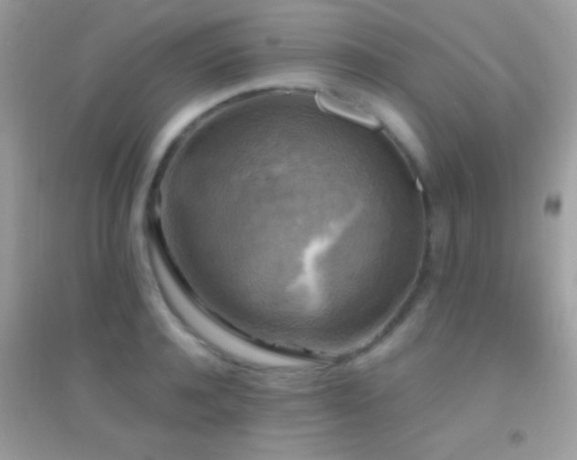 X0000095110944200712071214