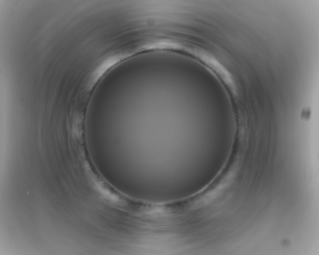 X0000095110945200712071214