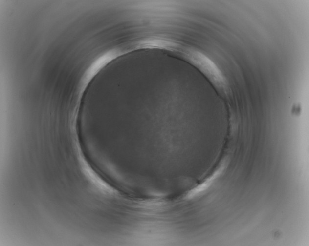 X0000095110946200712071214