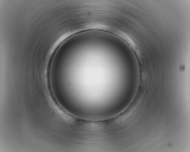 X0000095110947200712071214