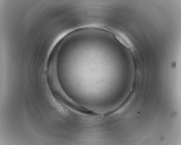 X0000095110948200712071214