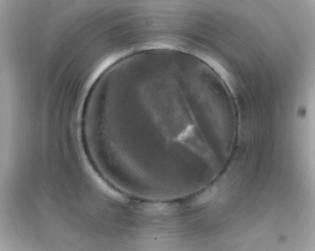 X0000095110949200712071214