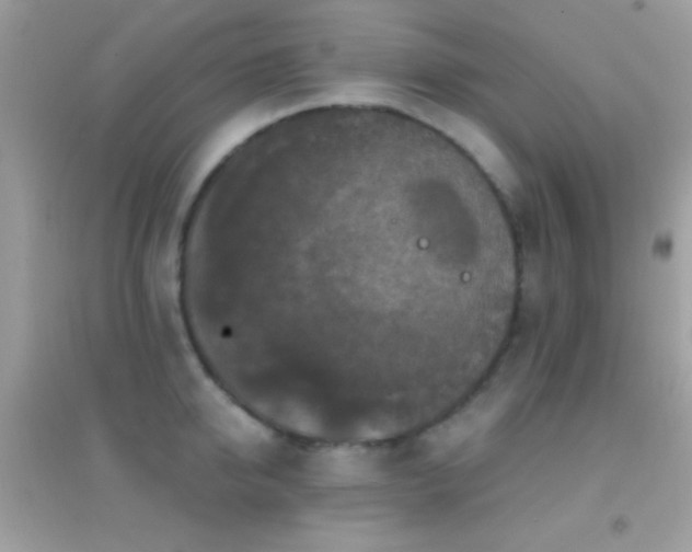 X0000095110950200712071214