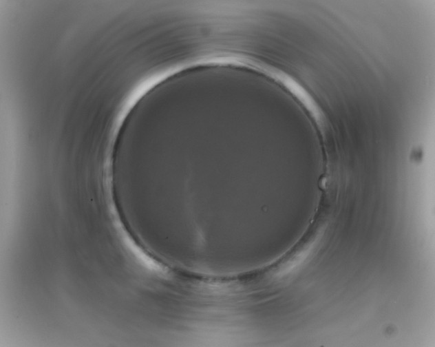 X0000095110951200712071214