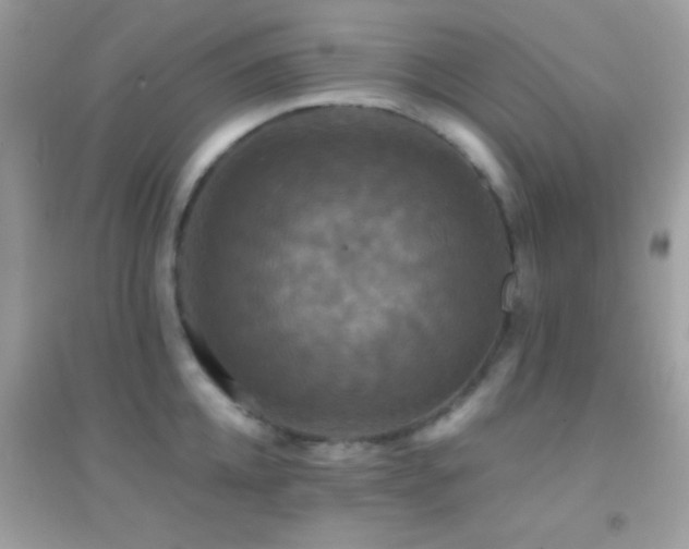 X0000095110952200712071214