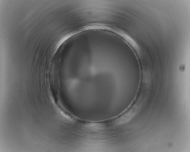 X0000095110953200712071214