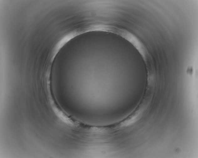 X0000095110954200712071214