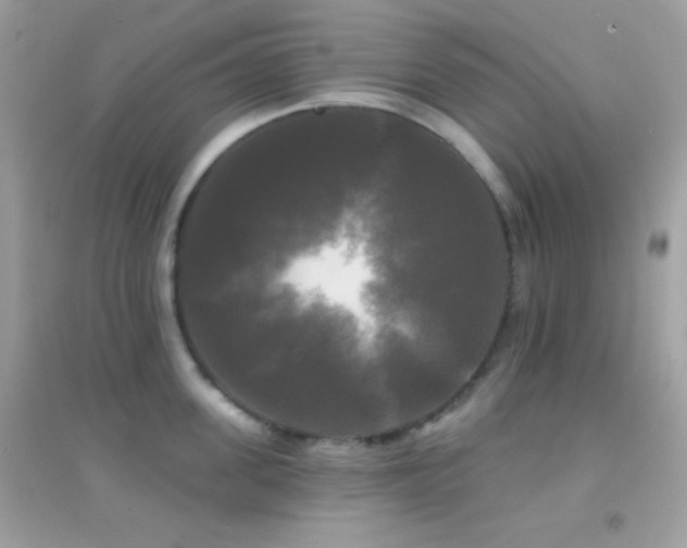 X0000095110955200712071214