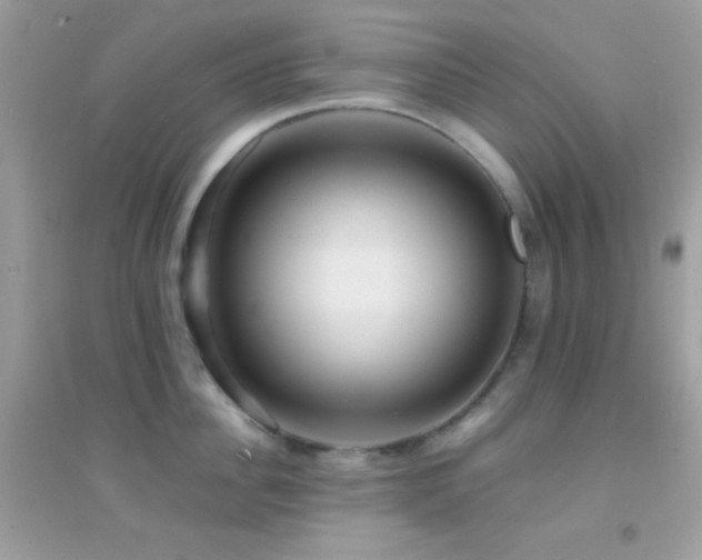 X0000095110956200712071214