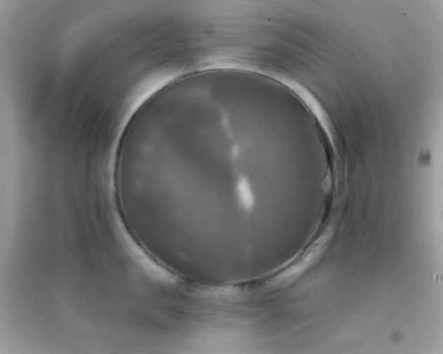 X0000095110957200712071214