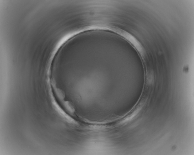 X0000095110958200712071214