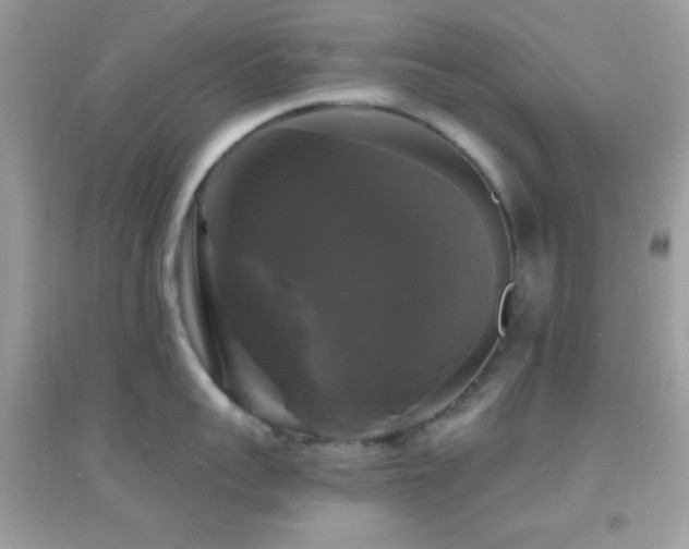 X0000095110959200712071214