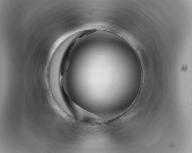 X0000095110960200712071214