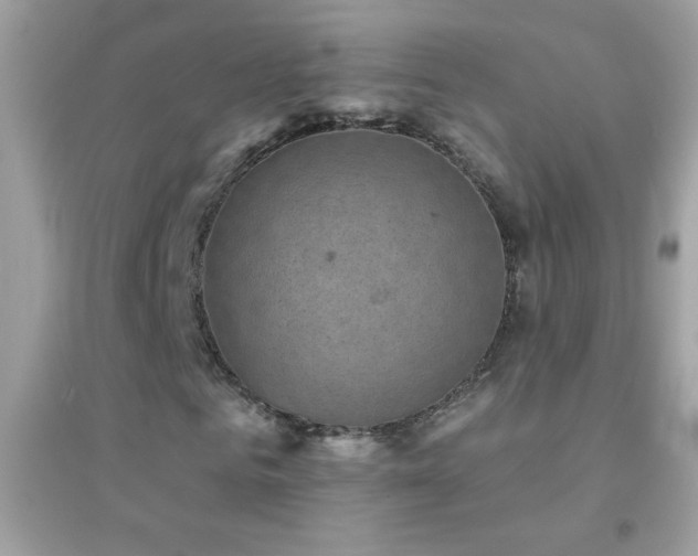 X0000095110961200712071213