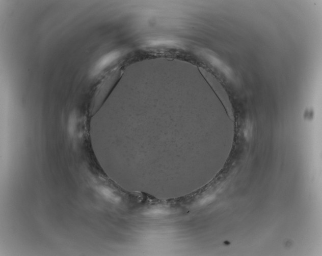 X0000095110965200712071213