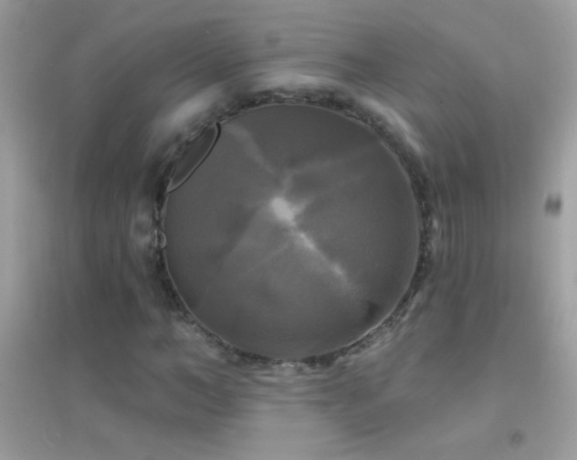 X0000095110966200712071213