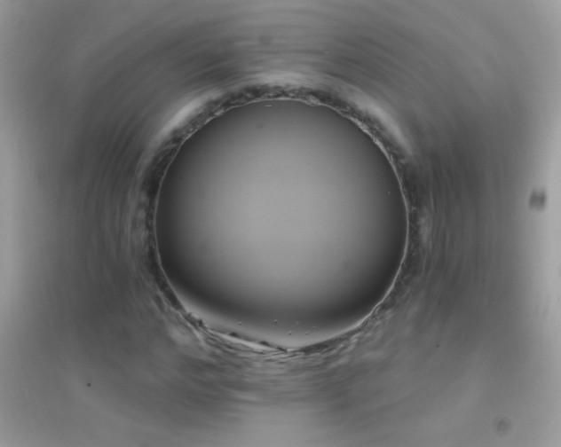 X0000095110968200712071213