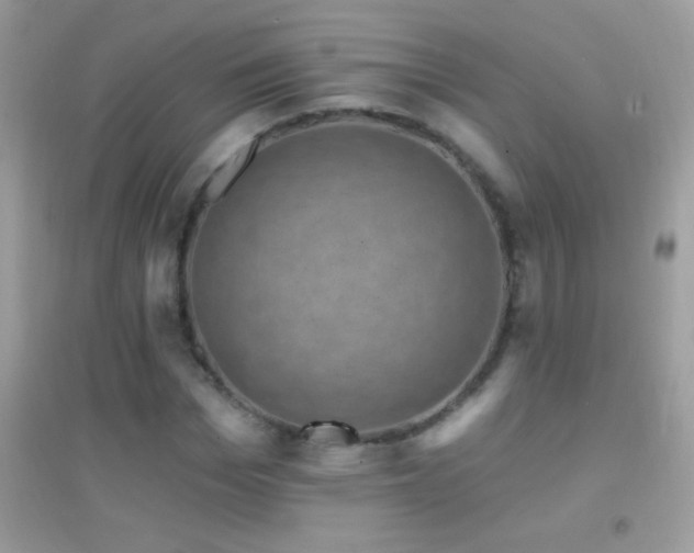 X0000095110969200712071213