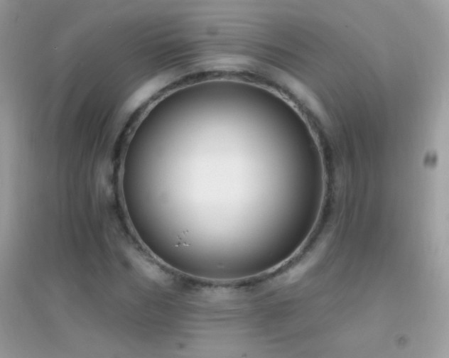 X0000095110970200712071213