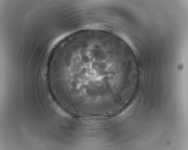 X0000095110971200712071213