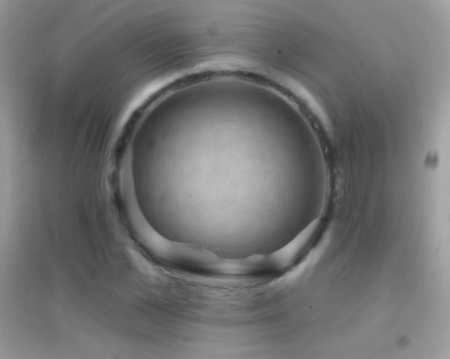 X0000095110973200712071213