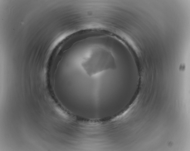 X0000095110975200712071213