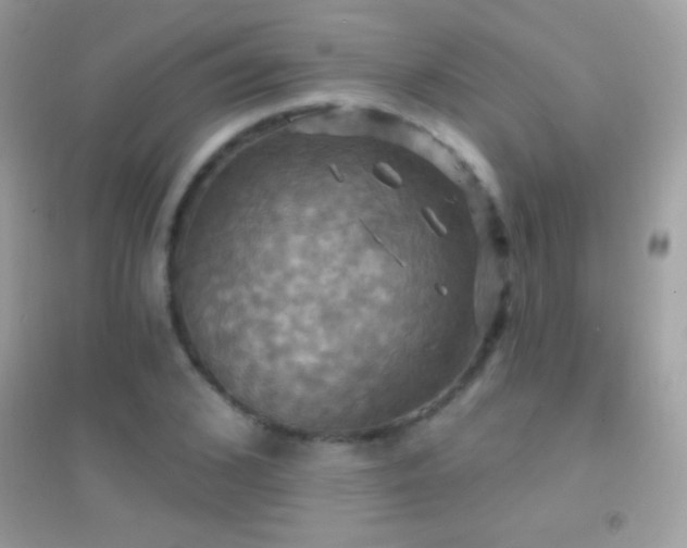 X0000095110976200712071213