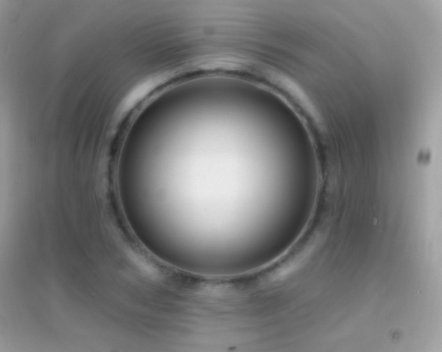 X0000095110978200712071213